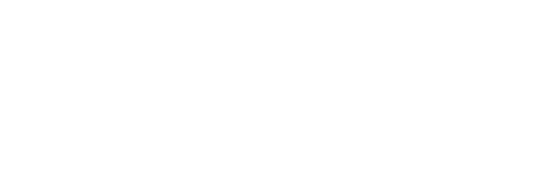 metallovivo - detailing
